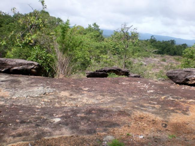 SANY7145.jpg